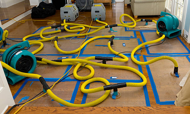 Professional Crawl Space Water Removal technician working in Evansport, OH